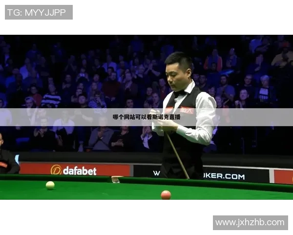 南京羽毛球队在世界杯中的战术表现分析与点评